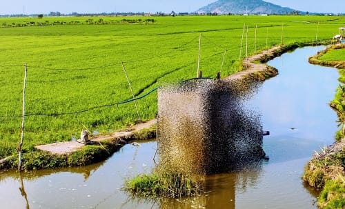 ‘판교지구 다목적 농촌용수개발 사업’ 예타 통과
