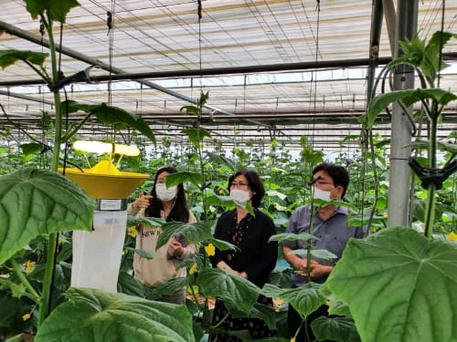 “바이러스 신속진단으로 원예 피해 최소화”