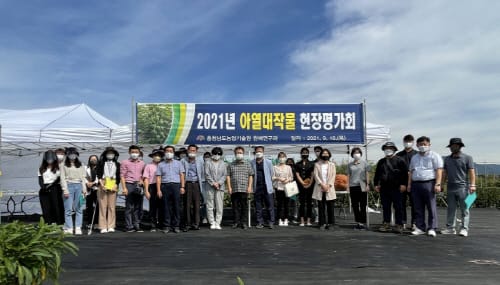 충남 재배 가능 아열대 작물 찾는다