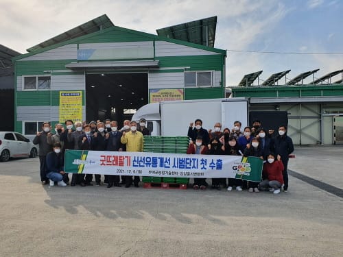 부여 굿뜨래딸기, 동남아 5개국 첫 수출길 ‘시동’