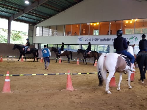 “말과 함께 호흡하며 호연지기 길러요”
