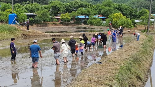 부여 서울농장, 정식 개장 앞두고 기대감 UP