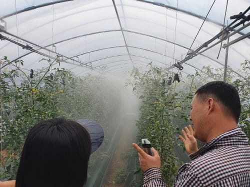 신기술로 이상기상 농작물 피해 사전대비