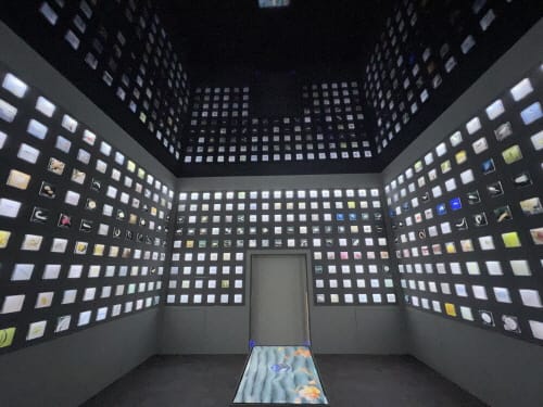 해양머드주제관, 갯벌 매개로 서식하는 생물 한눈에 관찰