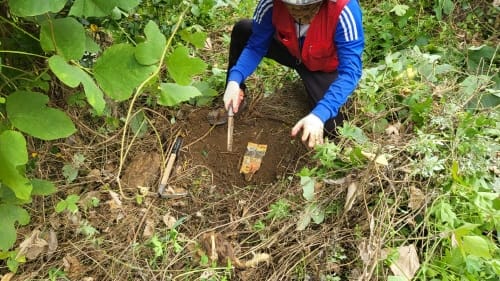 조림지·도로변 덩굴 제거 나선다