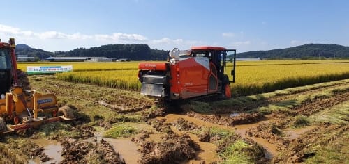 충남 벼 직파재배 기술 성과 도민과 공유