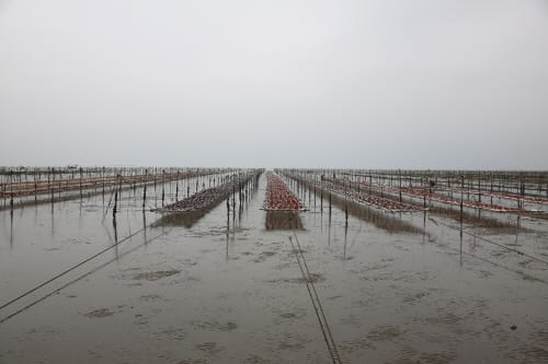 김산업 진흥구역 지정 공모 준비 ‘철저’