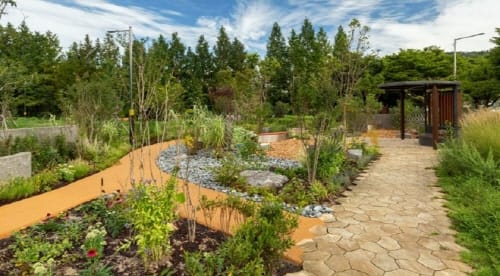 대전시, 산림청 주관 2023 정원드림 프로젝트 선정... 국비 3.8억 원 확보