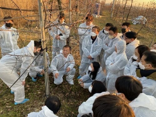 과수화상병 확산 방지 ‘궤양 제거’ 총력