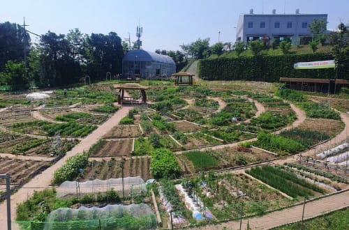 대전시농업기술센터, 행복농장 텃밭 분양
