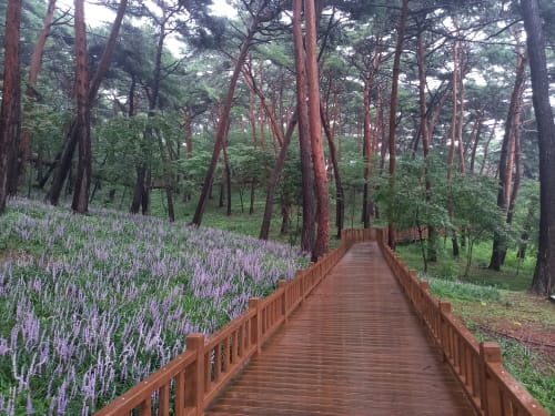 2026년 ‘국제원예치유박람회’ 연다