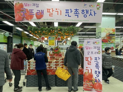 부여군, 굿뜨래 딸기 소비지 판촉행사 펼쳐