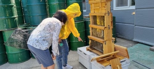 “꿀이 떨어진다” 시민대상 양봉체험