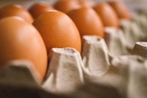 위생적이고 안전한 달걀 공급 ‘총력’