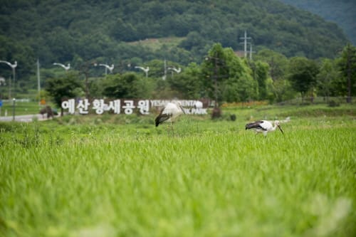 예산 황새공원 생태관광지역 신규 지정