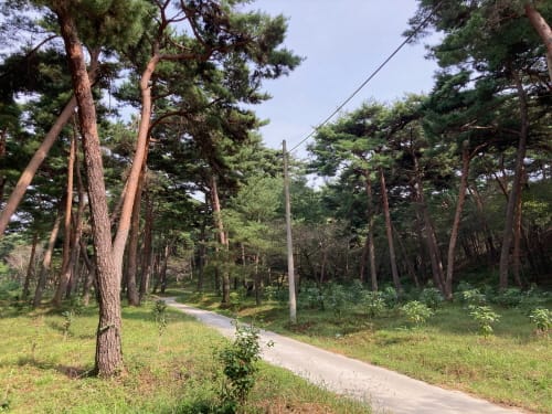 내화수림대 조성지 ‘전국 우수기관’ 선정