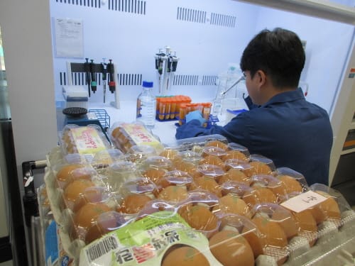 "시중 판매 달걀 안심하고 드세요"