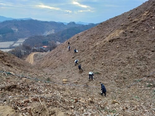 충남에 적합한 밀원수 찾는다