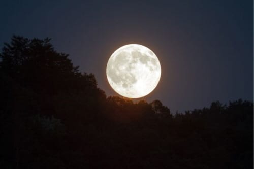 명물 이응다리에서 색다른 정월대보름 맞는다