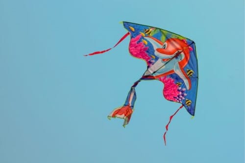 “24일 전국 연날리기 대회, 시민 안전이 최우선”