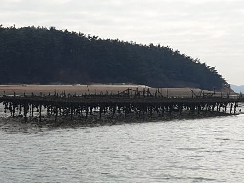 천수만·가로림만 청정어장 탈바꿈 시킨다