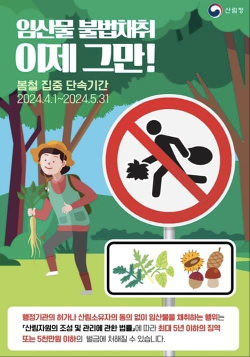 충청남도, 산나물 불법 채취 말일까지 집중 단속