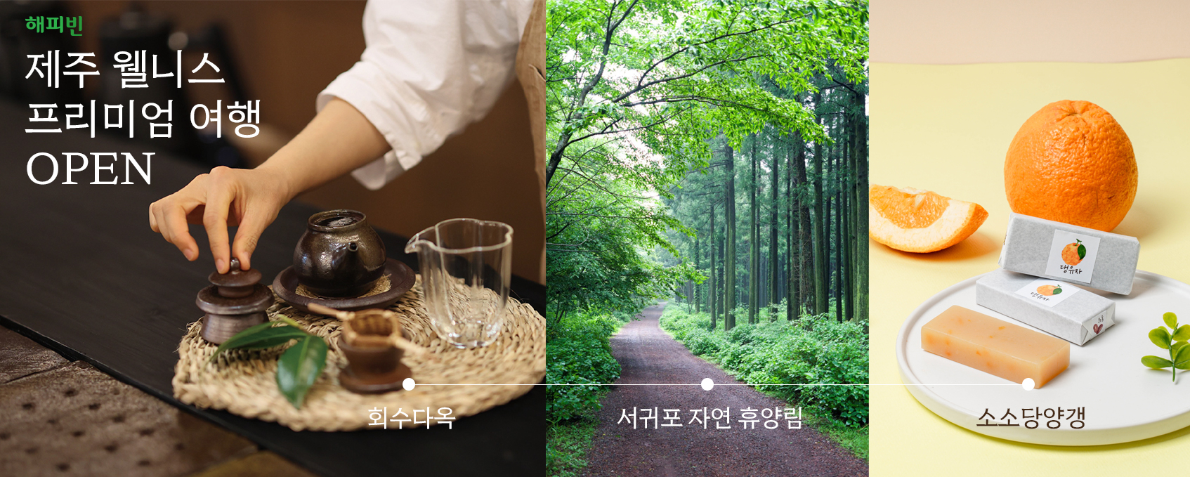 회수다옥 ‘제주 웰니스 프리미엄 여행’ 프로그램 선보여