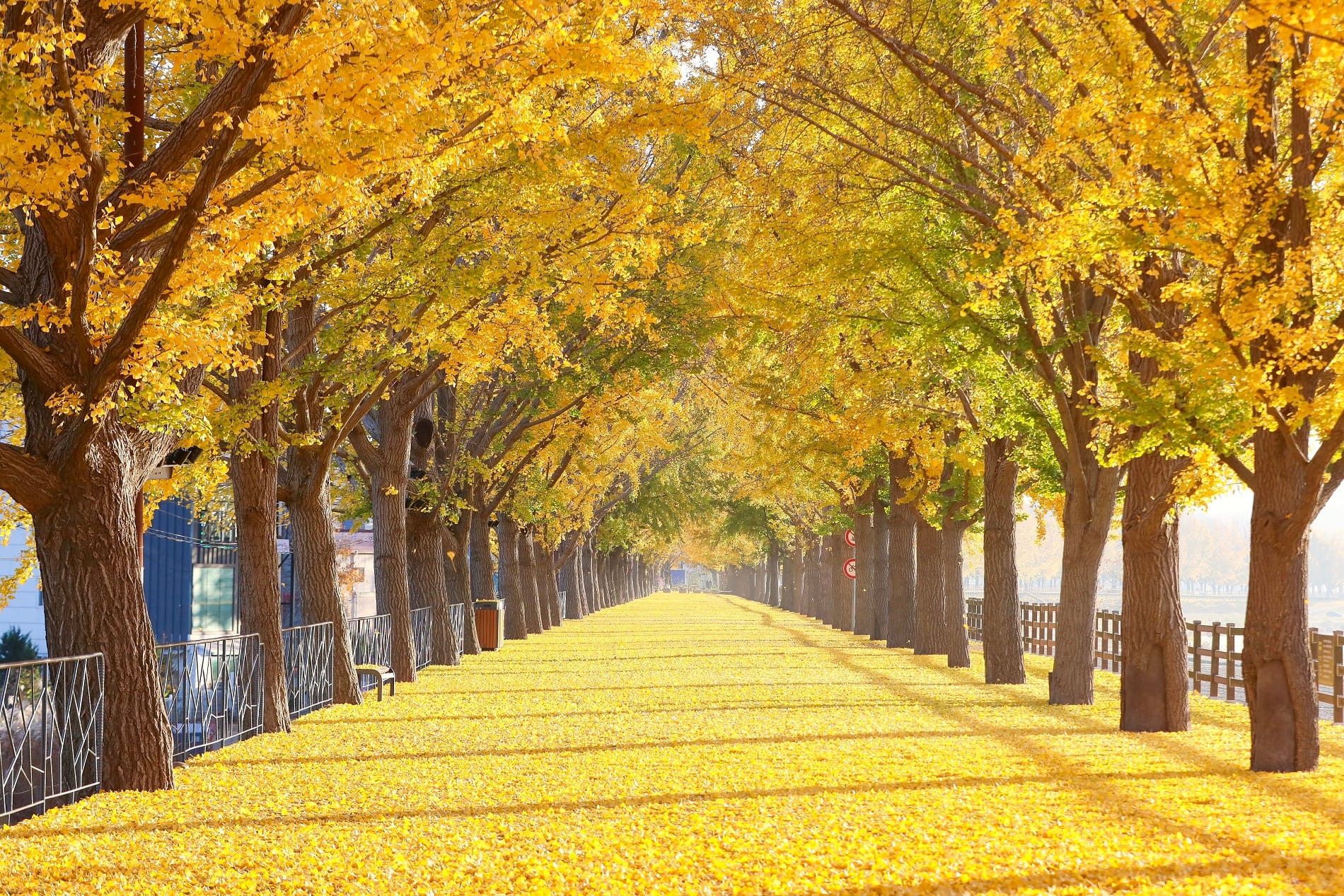 충남도 자연이 보내는 알록달록 가을 초대장