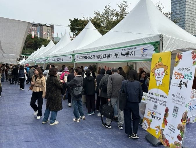 부여 굿뜨래 농산물, 전통문화 속 가치가 빛나다!