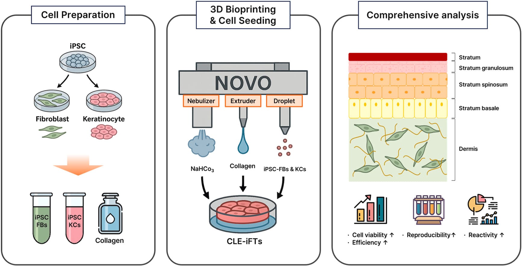인간 유도만능줄기세포 및 3D바이오프린팅 기반 전층 인공피부 개발 성공