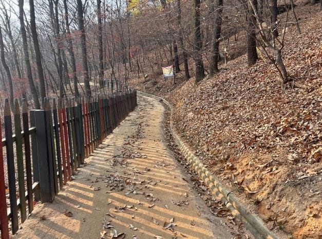 '새소리․바람소리 따라 걷는 건강한 발걸음'