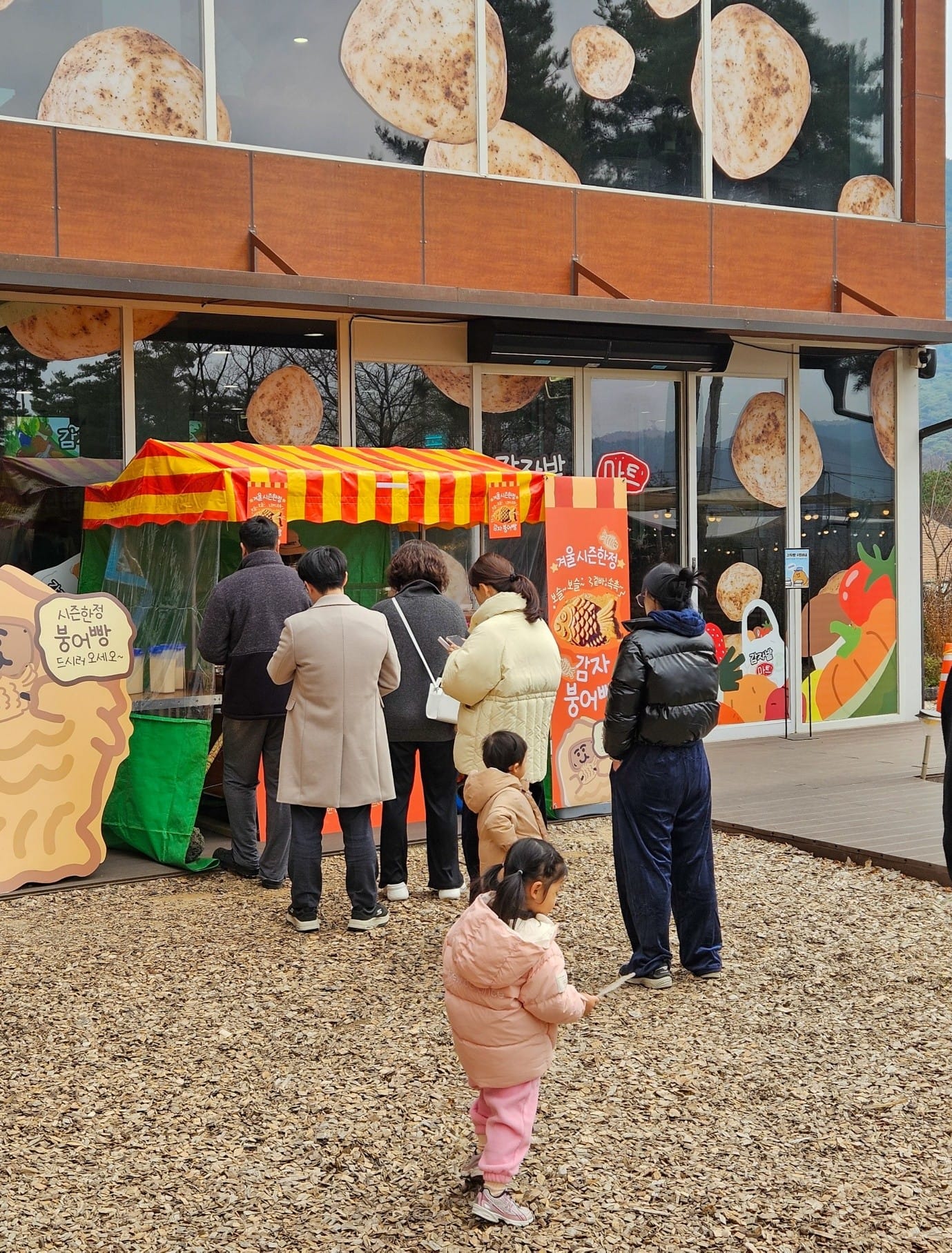 춘천에서 즐기는 감자빵과 겨울 간식… 감자밭, 시즌 한정 ‘감자붕어빵’ 출시