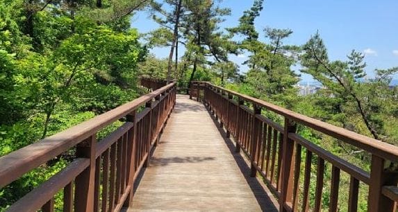 충남도 자체 첫 등산로·자전거길 광역도로명 부여