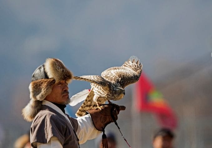대전무형유산 매사냥 대청호반에서 공개 시연회