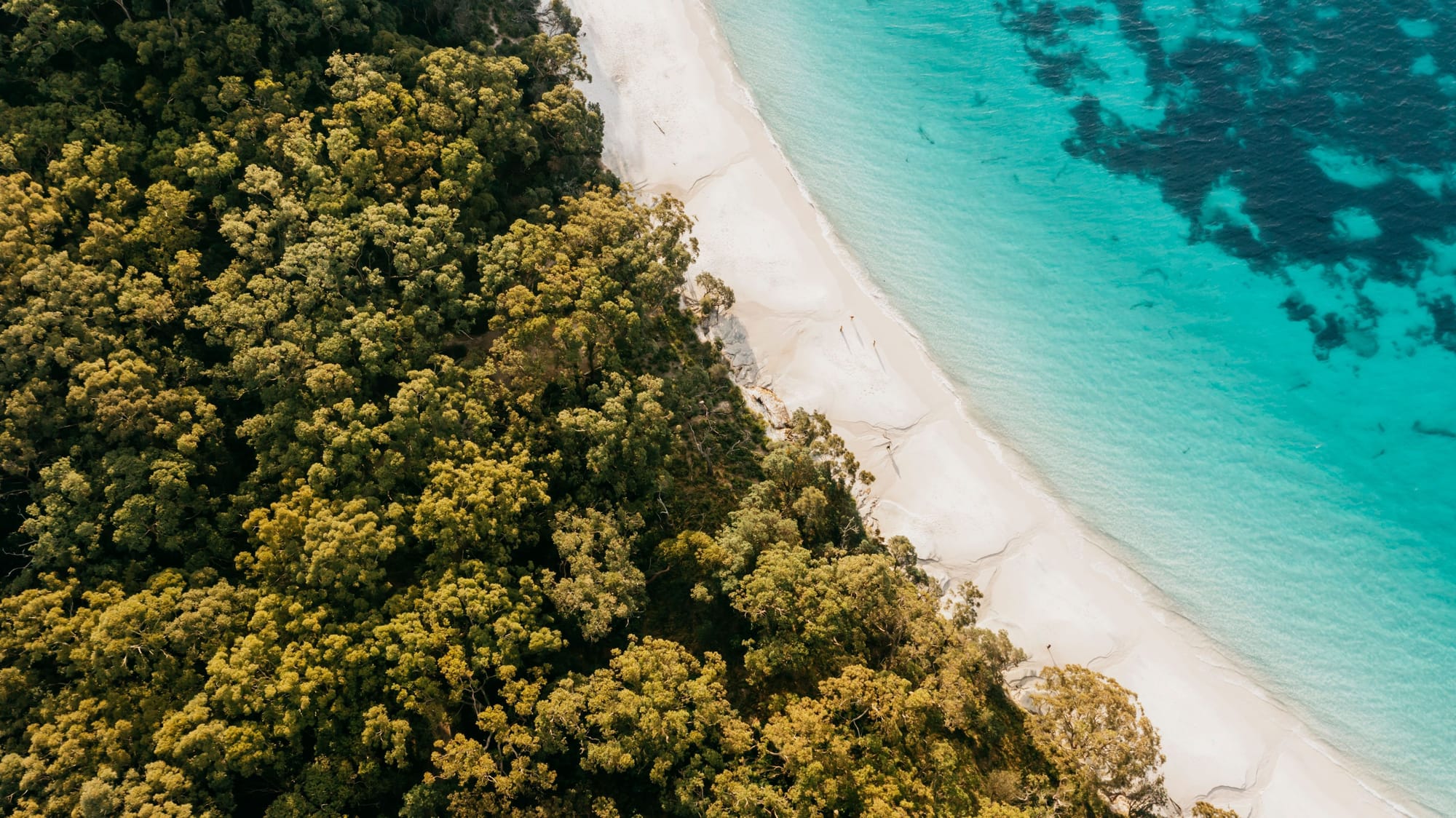 호주 뉴사우스웨일즈주 관광청, 뉴사우스웨일즈 여름 해변 가이드 소개