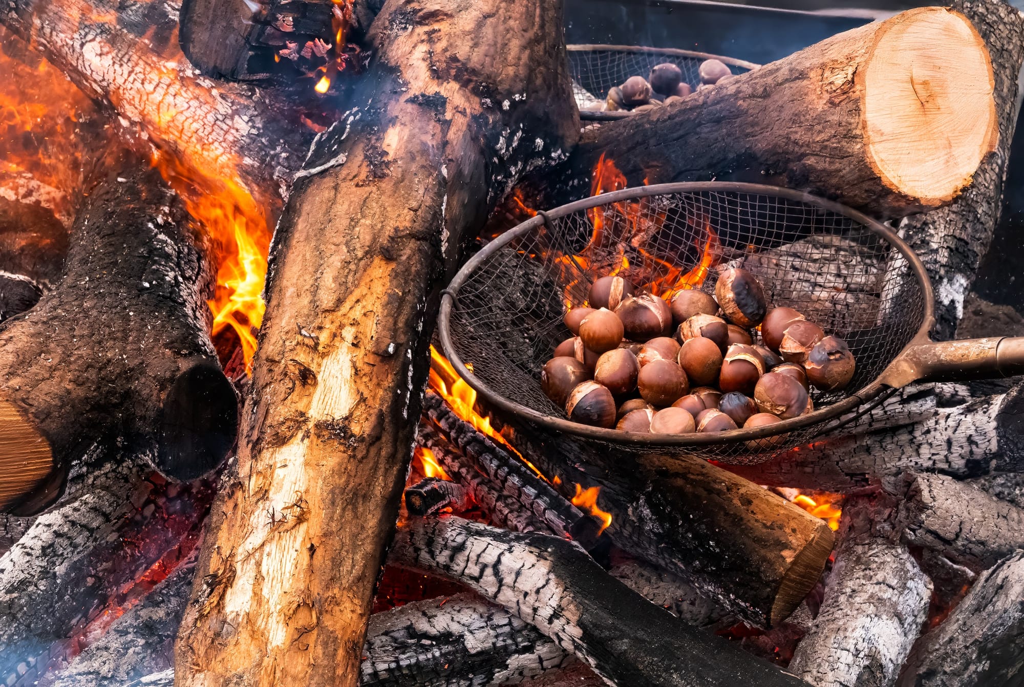 몸에 보약, 제철 먹거리... 차가운 계절, 충남서 뜨겁게 보낸다!