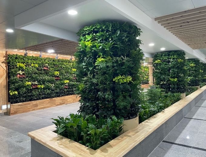 한파가 찾아와도 안은 푸르다! 대전도심 실내정원 확대