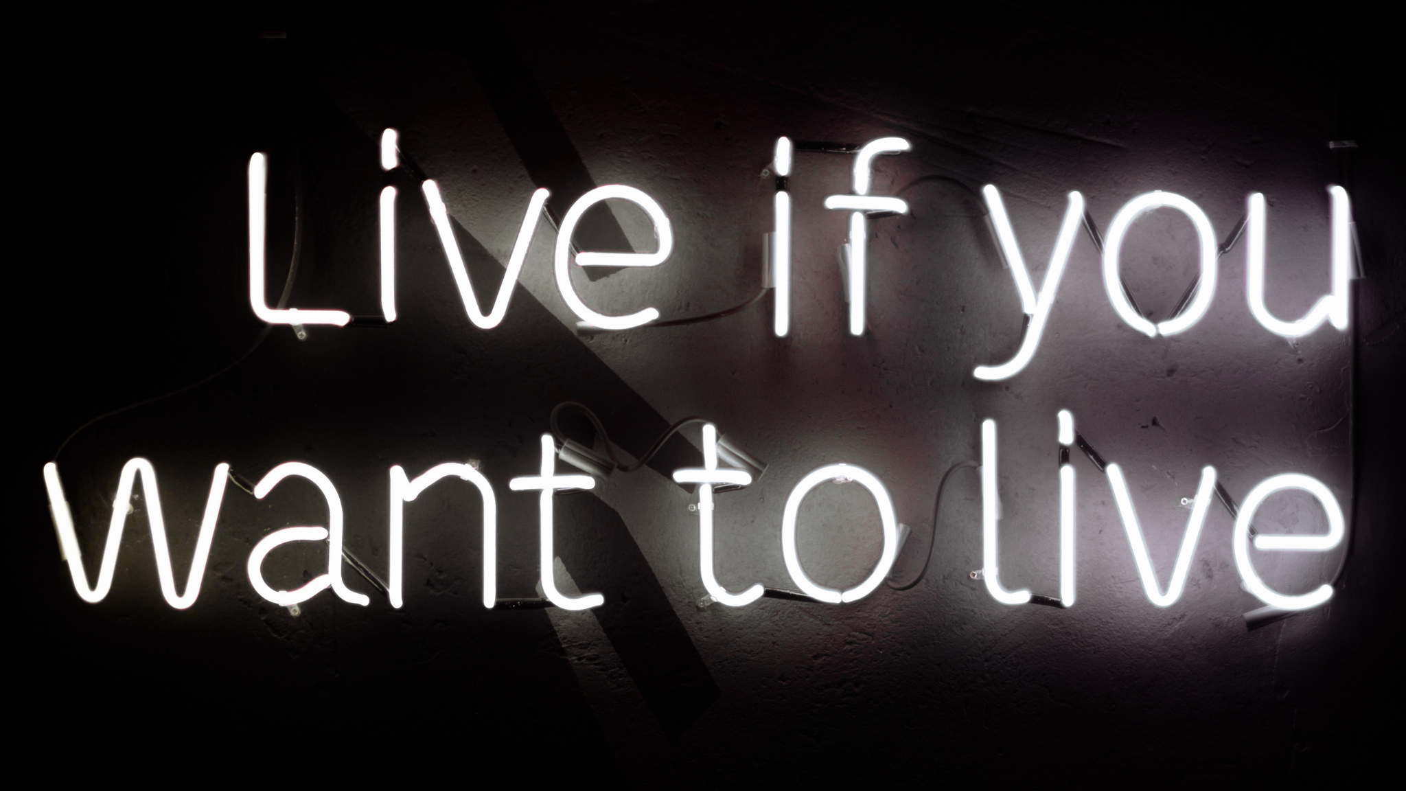 행운을 불러오는 오늘의 한마디 (26-01-08)