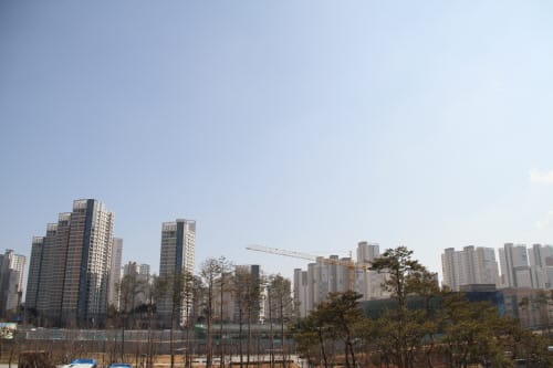 세종시, 해빙기 대비 비산먼지 발생사업장 특별점검