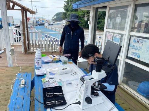 충남도 “기생충은 잡고, 수산질병은 막고!”