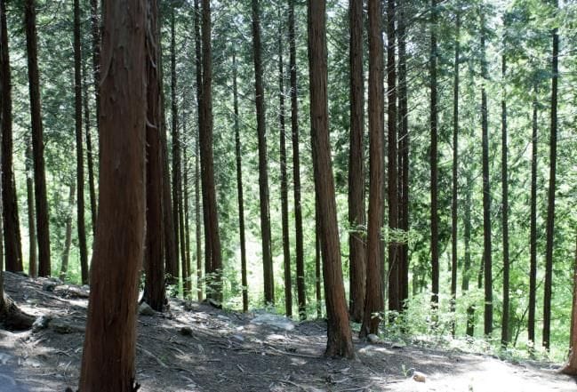 설 연휴는 보령이다! 바다·산·미식 3박자 완벽한 가족여행