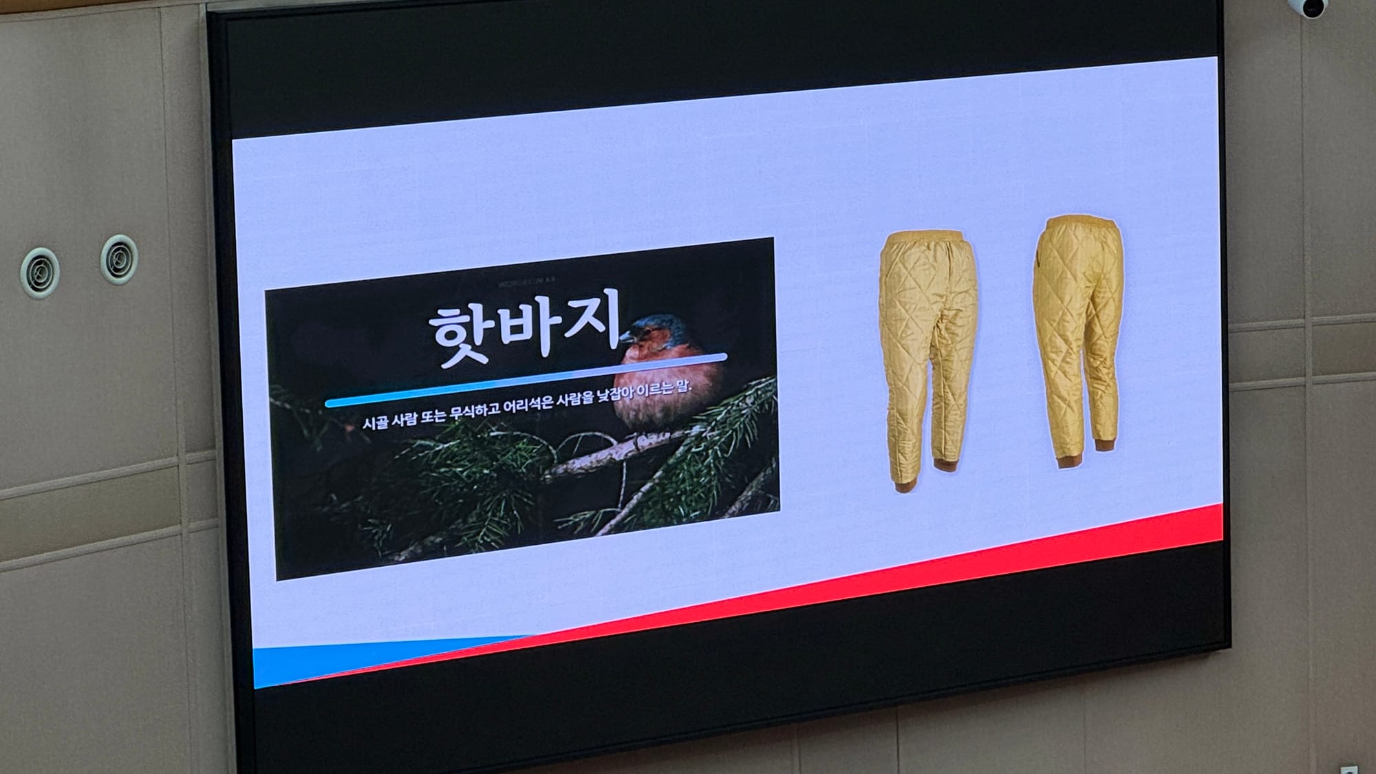 대전시의회 정명국 의원, “충청도 핫바지 시즌2 중단하라”