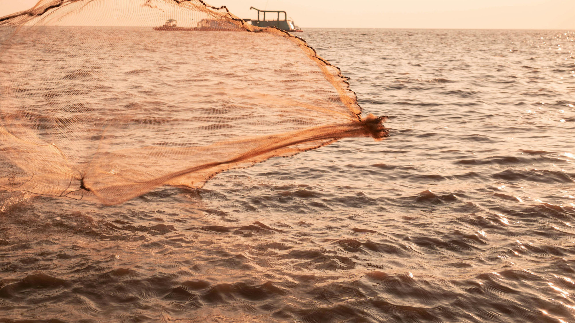 충남도 실뱀장어 불법어업 특별단속 실시