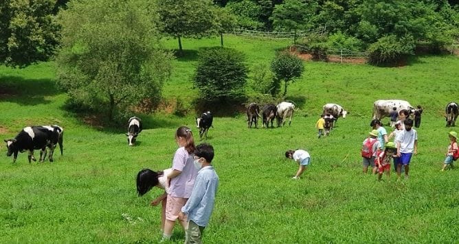 부여, 깨끗한 축산농장 지정 24개소로 확대