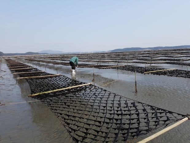 탄소 잡는 ‘검은 반도체, 김’ 저감량 밝힌다