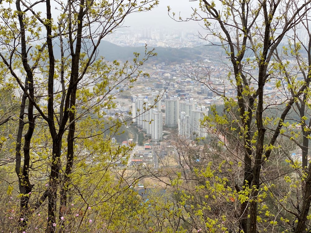대전시, 5개 자치구 개발제한구역 관리실태 점검 post image