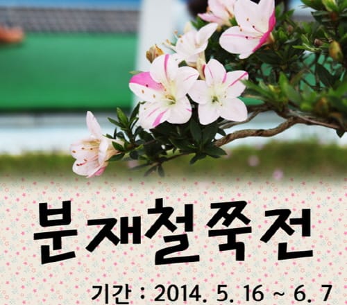 세종, 대전 주말 문화·가족 행사 post image