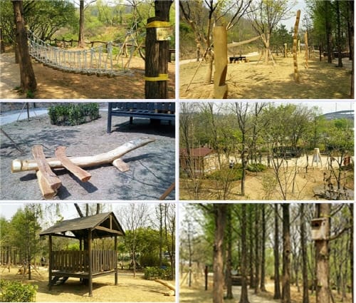 2015 유아숲체험 페스티벌 첫 개최 post image