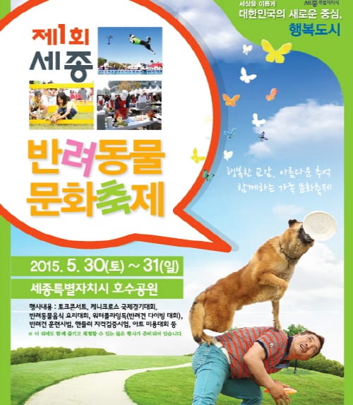세종, 대전 주말 문화·가족 행사 post image