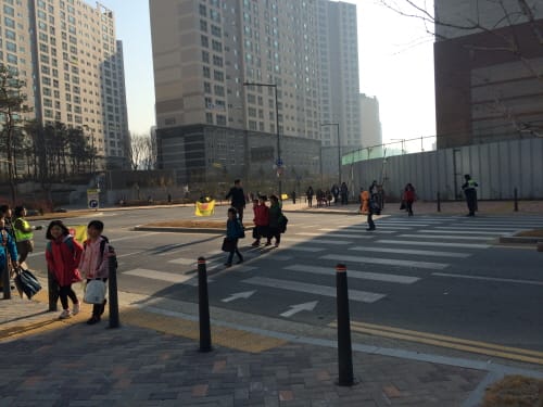 “초등학교 대상 학구위반 조사” post image